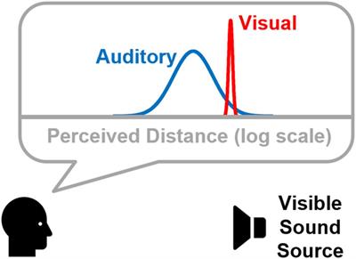 Asymmetric visual capture of virtual sound sources in the distance dimension